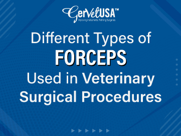 Different Types of Forceps Used in Veterinary Surgical Procedures