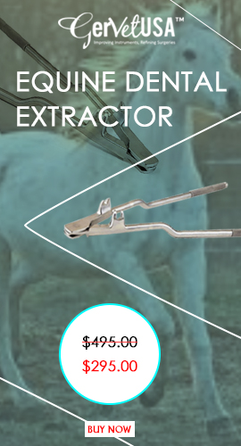 Equine Dental Extractor