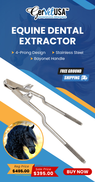 Equine Dental Extractor
