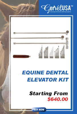 Equine Dental Kit
