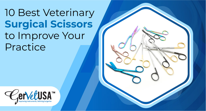 10 Best Veterinary Surgical Scissors To Improve Your Practice