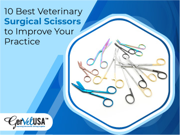 10 Best Veterinary Surgical Scissors To Improve Your Practice