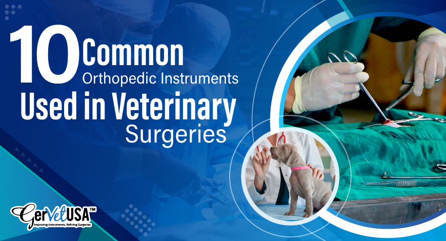 10 Common Orthopedic Instruments Used in Veterinary Surgeries