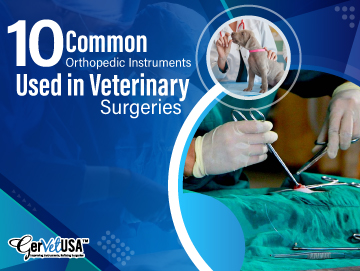 10 Common Orthopedic Instruments Used in Veterinary Surgeries