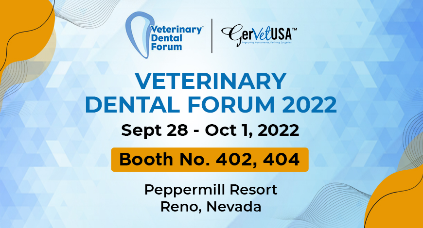 Are You Ready To Explore Veterinary Dentistry With VDF 2022?