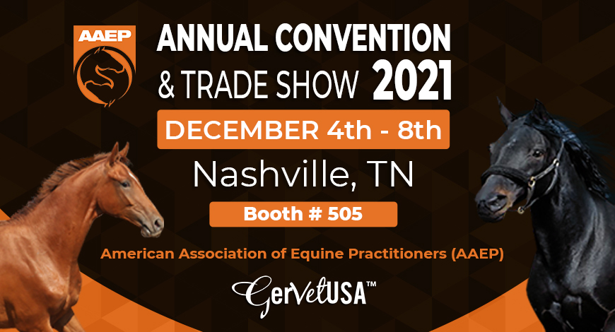 Be A Part Of AAEP 67th Annual Convention & Trade Show To Rejoice Equine Practice