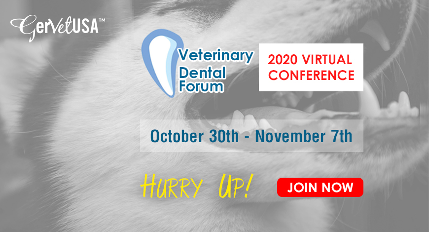 BE ON BOARD with GerVetUSA for Most Awaited Virtual Veterinary Dental Forum on Oct 30th – Nov 7th, 2020, and Get Amazing Discounts