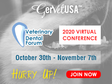 BE ON BOARD with GerVetUSA for Most Awaited Virtual Veterinary Dental Forum on Oct 30th – Nov 7th, 2020, and Get Amazing Discounts