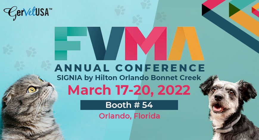 Brilliance Is Our Forte: Reach Us Out At FVMA Annual Conference