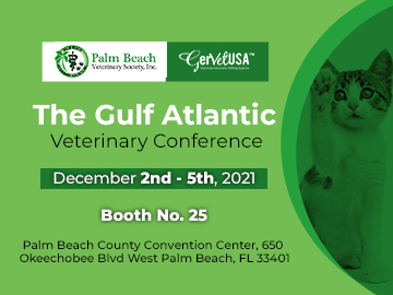 Connect With Us At The Gulf Atlantic Veterinary Conference To Attain Flashing Deals Of Veterinary Surgical Instruments