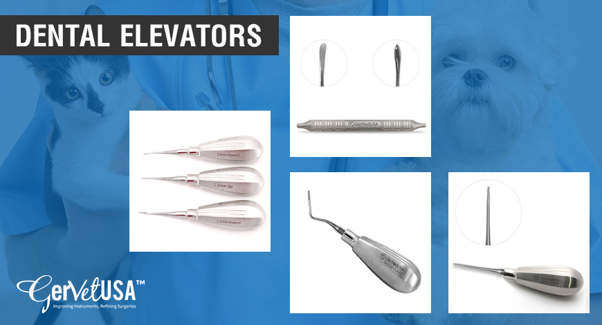 Dental Elevators: Characteristics, Types, and Uses in Veterinary Oral Surgery