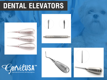 Dental Elevators: Characteristics, Types, and Uses in Veterinary Oral Surgery