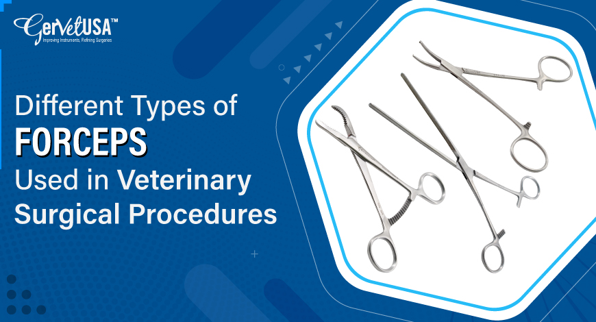 Different Types of Forceps Used in Veterinary Surgical Procedures