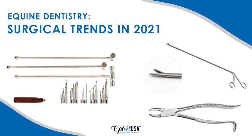 Equine Dentistry: Surgical Trends in 2021