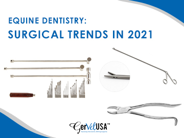 Equine Dentistry: Surgical Trends in 2021