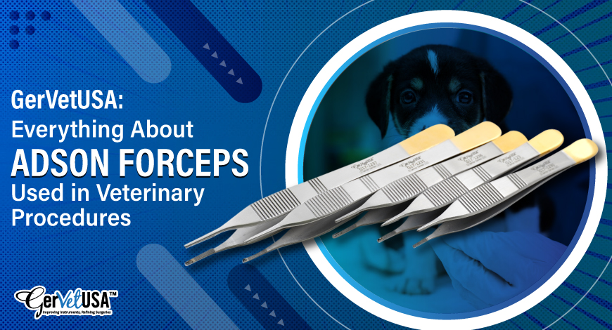 Everything About Adson Forceps Used in Veterinary Procedures