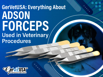 Everything About Adson Forceps Used in Veterinary Procedures