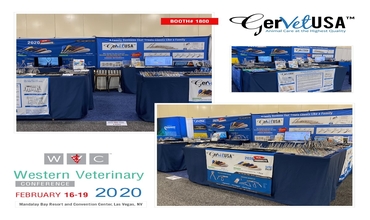 GerVetUSA hands-on experience at WVC 2020