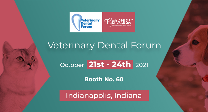 Honor us with your presence at the 2021 Annual Veterinary Dental Forum