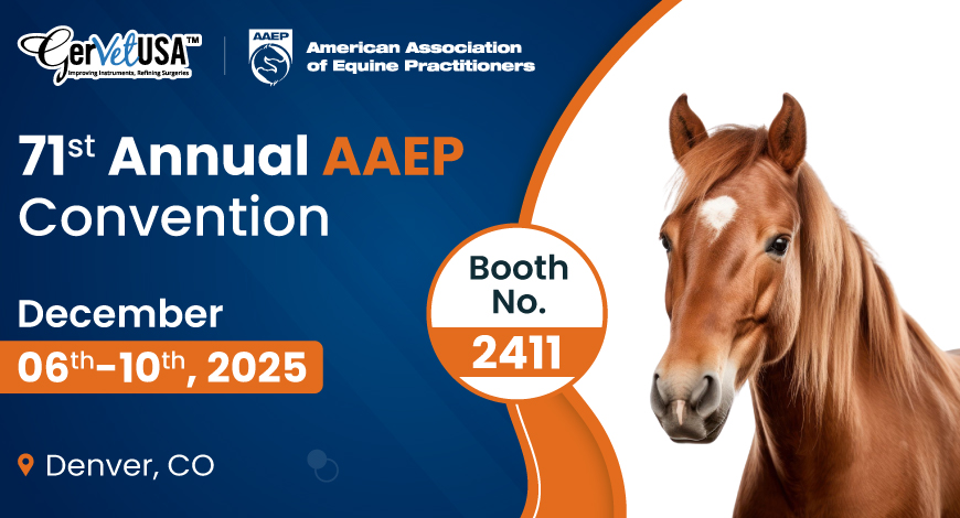 How 2025’s AAEP Convention Could Transform Your Entire Equine Practice