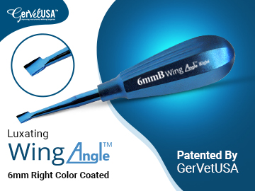 Luxating Wing Angle - An Innovative Veterinary Dental Instrument