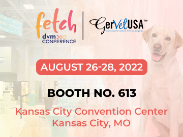 Meet us at Fetch dvm360 to Upscale your Veterinary Practice