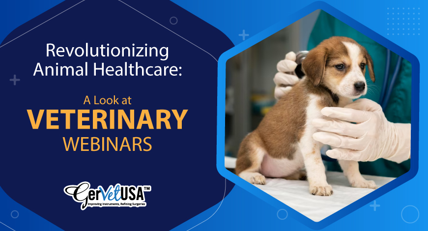 Revolutionizing Animal Healthcare: A Look at Veterinary Webinars