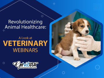 Revolutionizing Animal Healthcare: A Look at Veterinary Webinars