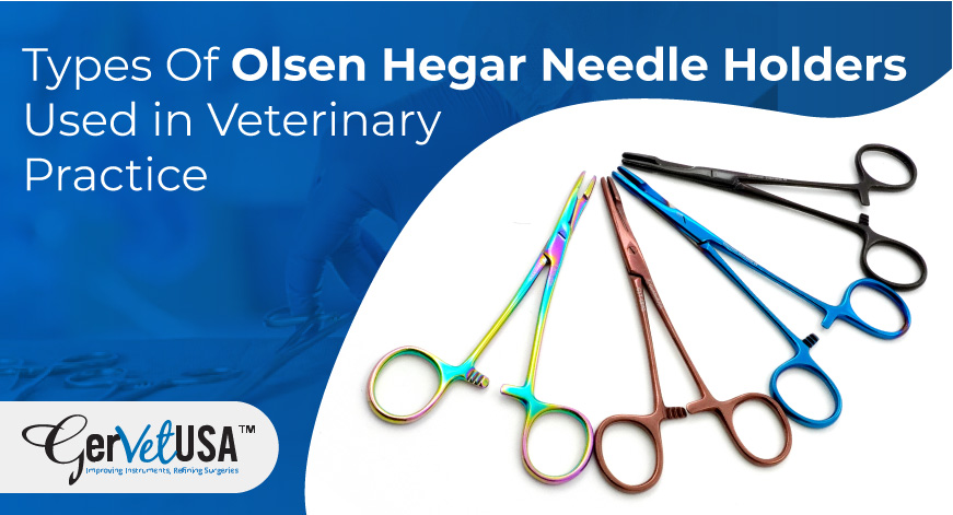 Types Of Olsen Hegar Needle Holders Used in Veterinary Practice