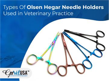 Types Of Olsen Hegar Needle Holders Used in Veterinary Practice