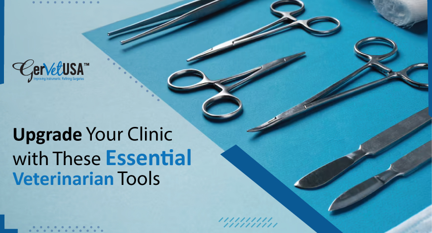 Upgrade Your Clinic with These Essential Veterinarian Tools