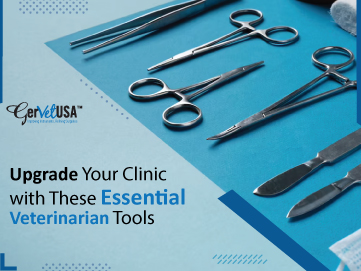 Upgrade Your Clinic with These Essential Veterinarian Tools
