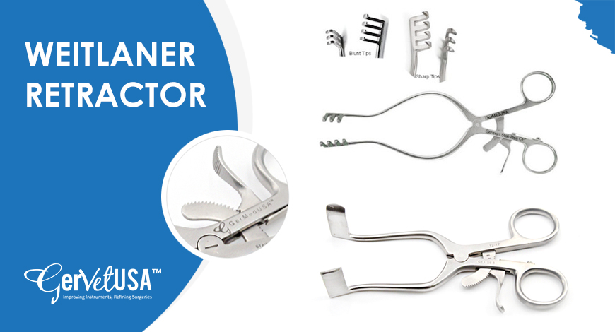 Use of Weitlaner Retractor in Veterinary Orthopedic Surgical Procedures