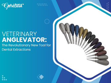 Veterinary Anglevator: The Revolutionary New Tool for Dental Extractions