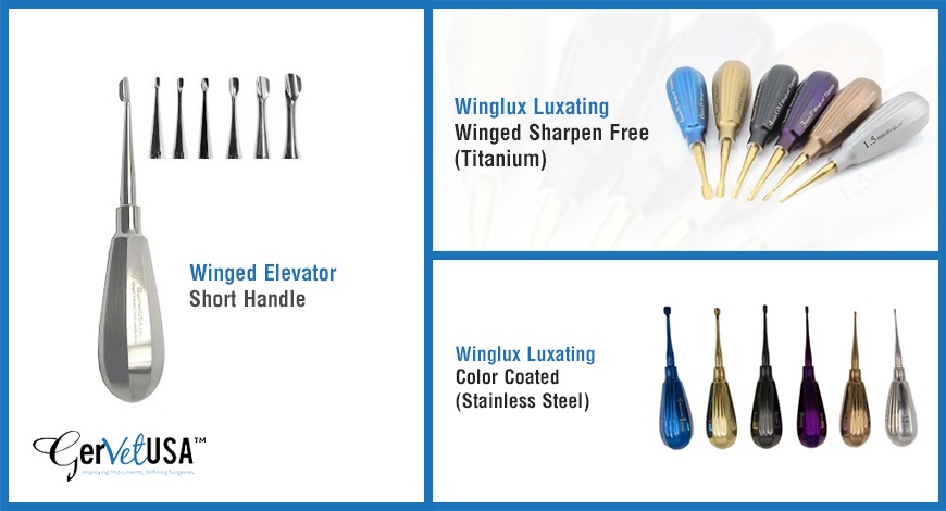Veterinary Dentistry: From Winged Elevator to Winglux Luxating Winged Dental Instrument