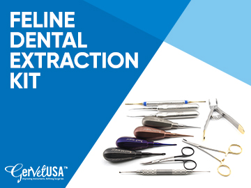 Which Dental Instruments You Can Get In Feline Dental Extraction Kit?