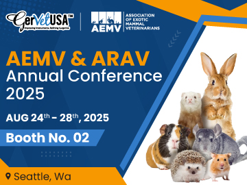 Why AEMV & ARAV Annual Conference 2025 Is Unmissable