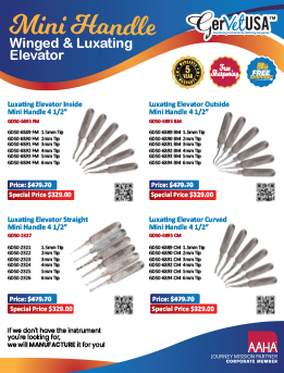 Dental Elevator Mini Handle