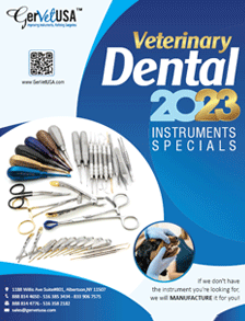 Dental Instruments