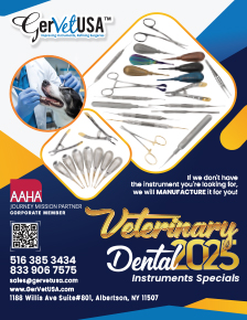 Dental Instruments