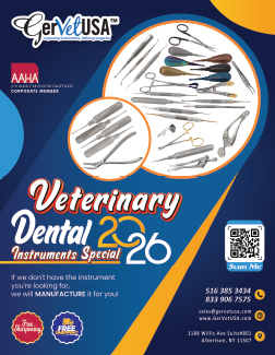 Dental Instruments