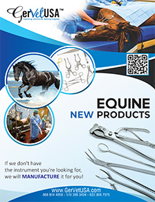 Equine Show Special