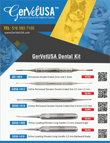 GerVetUSA Dental Kit