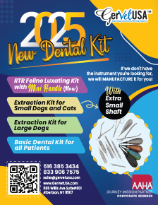 New Dental Kits 2025