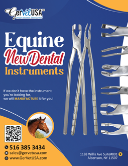 New Equine Dental Instruments 2025