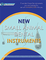 Small Animal Dental Flyer