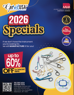 Super Specials Instruments