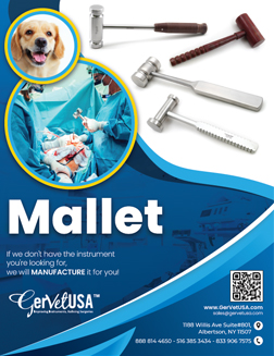 Surgical Mallet