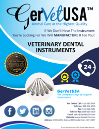 Veterinary Dental Instruments