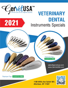 Veterinary Dental Instruments Special 2021